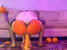Pumpkin likes squash gif