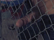 Horny guy offers his hot cock through the fence 0209 10 gif