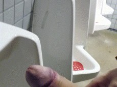 johnholmesjunior flashing huge cock inside vancouvers mens public washroom gif