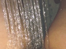 Hairy pussy in the shower gif