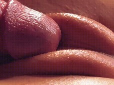 Big cock entering tight pussy after teasing in close-up gif