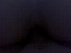 Doggy Style Sex gif