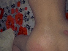 sex at home gif