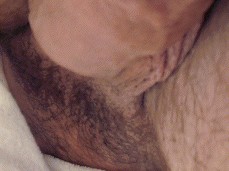 bald, bearded muscle stud Valdemar Hot flashes soft uncut cock 0019-1 3 gif