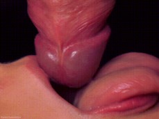 Milking Mouth for YOUR dick - blowjob CLOSE UP gif