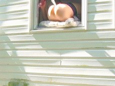 HORNY dildo orgasm squirting out of window while neighbors are outside! gif