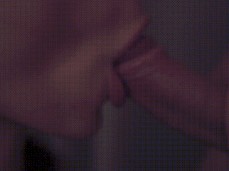 Sucking and Licking Cock gif