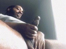 Hung BBC In The Morning gif