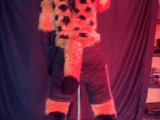 orange furry tiger dance gif