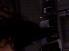 Quick Kitchen Play gif