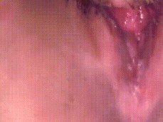 pussy licking gif