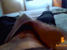 Hairy Muscled Stud Masturbating, Moaning and Cumming in Underwear gif