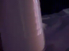 Quickie gif