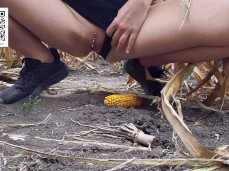 urgent pee in the cornfield gif