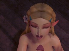 Zelda Facial gif