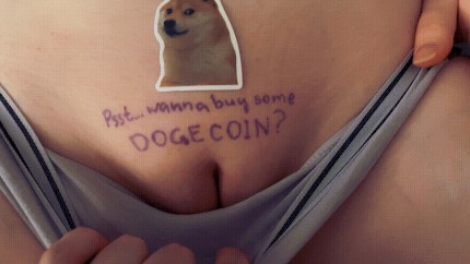 Doge Sex Porn GIFs | Pornhub
