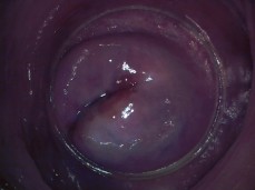 Camera deep inside Paula Shy's vagina - doggy position viewing full cervix gif