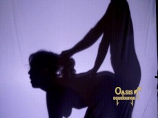 Oasis Aqualounge "SHADOW BOX SEX gif