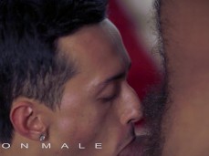 licking & sucking buff, bearded, hairy, hot-chested Dominic Pacifico 0300 9 gif