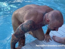 mature Musclebear gets out of the pool, naked and wet 0055 5 gif