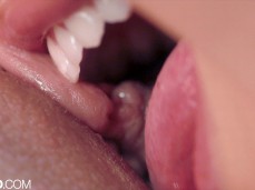 7944 licking closeup gif