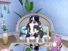 furry sims masturbation on sofa gif