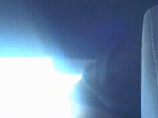 EBONY GIRL BENT OVER INSIDE CAR gif