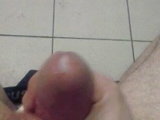 Cumming in Public Bathroom gif