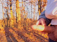 All is well that ends well: big cumshot at sunset in the woods 1201-1 10 gif