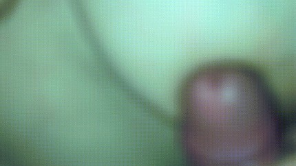 イク  masturbation pussy pornhub gif 射精せずイク Porno GIF | Pornhub