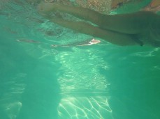 Wet nudist swimming naked in a public pool 0330-1 5 underwater gif