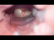 Internal Camera Cumshot gif