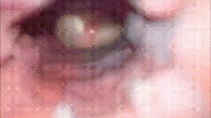 Internal Camera Cumshot gif