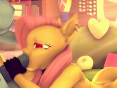 mlp futa gif