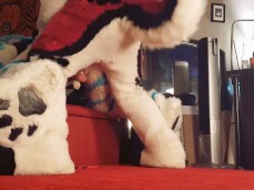 Fursuit Sex gif