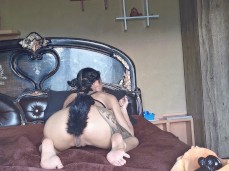 TAILPLUG gif