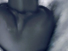 Jouet 1 gif