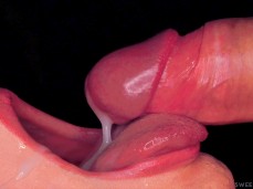 sucking dick gif