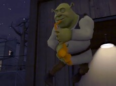 omg it is shrek gif