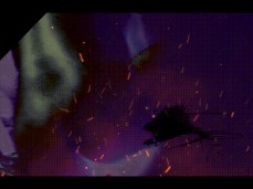 Sexy shower Gif gif