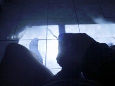 Now we see through a mirror darkly but then face to face 0106-1 gif