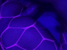 Getting Nasty gif