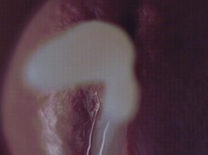 Macro Sperm Cumshot gif