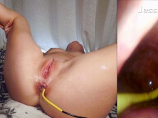 anal creampie gif
