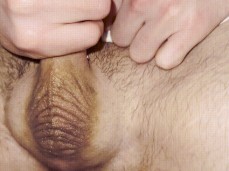 Lucky Bottom Has Cum Fucked Out of Him by His Hunky Boyfriend and then Bred gif