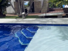 wwwqdsf gif