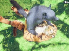 furry gif