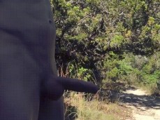strolling the trail gif
