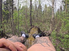 Tree trunk comes alive 0004-1 3 gif