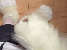 jjjjj gif
